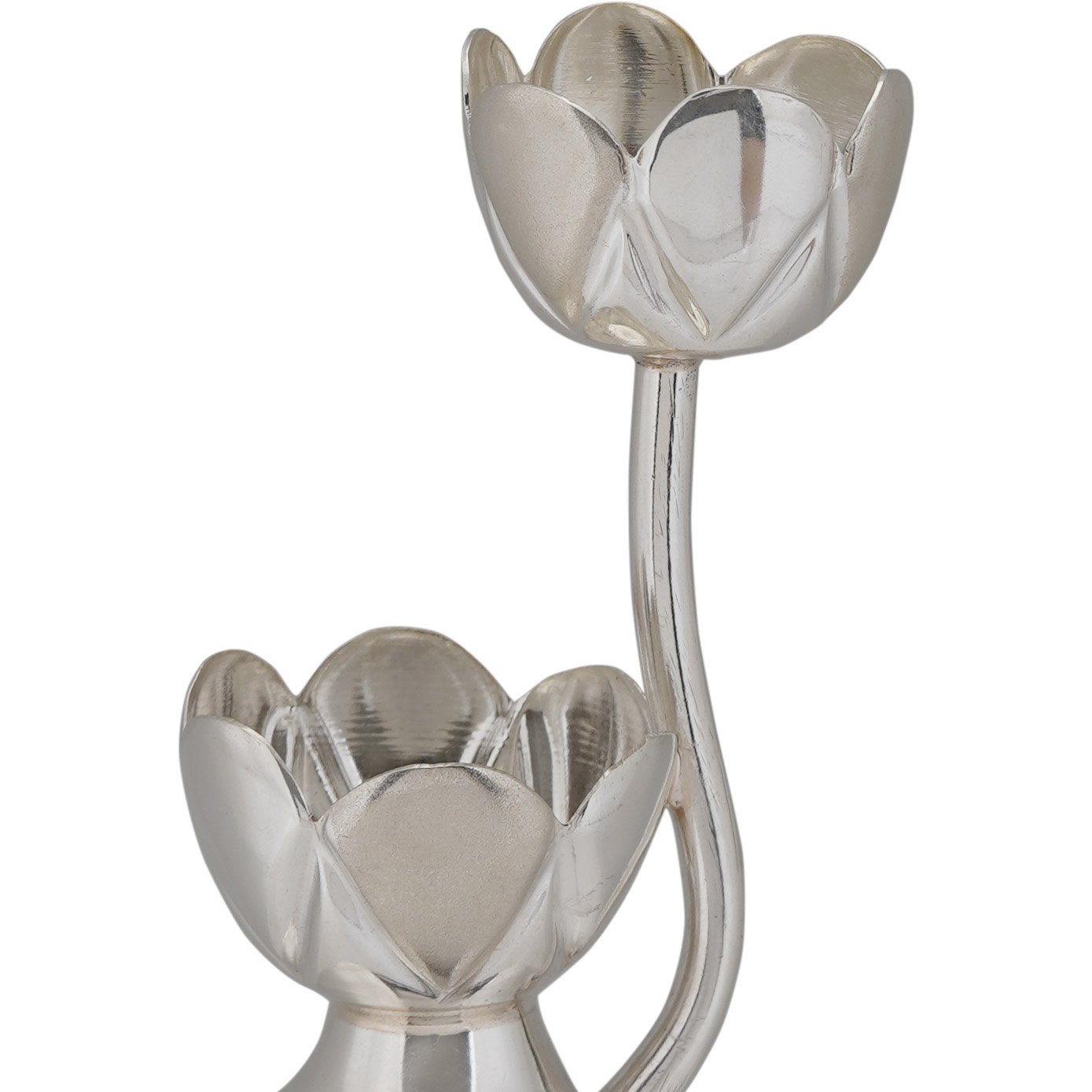 Tulip Stand